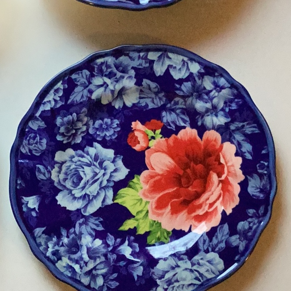 The Pioneer Woman Dinner &/ Dessert Plates TWO of EACH EPLC
